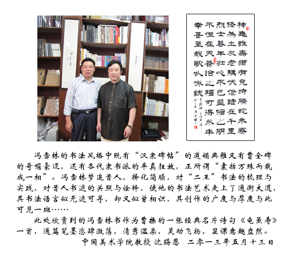 中國美術(shù)學(xué)院沈賜恩教授評價馮雪林書法